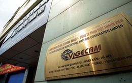 Vigecam nói gì về 2 lô đất Vũng Tàu “thất lạc” khỏi bản công bố thông tin?