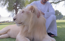 Cuộc sống đầy trải nghiệm của hoàng tử Dubai "triệu người theo dõi"