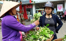 “Hốt bạc” nhờ bán hoa bưởi