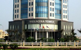 Đấu giá cổ phần Viglacera: Hơn 1.000 nhà đầu tư tham gia, lượng đặt mua gấp 2,6 lần chào bán