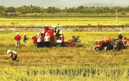 Là nước thuần nông, nhưng tại sao Việt Nam không hấp dẫn nhà đầu tư ngoại rót vốn vào nông nghiệp?