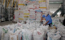 VFA dự báo xuất khẩu gạo năm 2017 sẽ đạt trên 5 triệu tấn