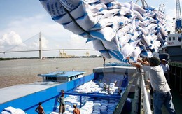 Xuất khẩu gạo: Cần tránh việc phụ thuộc vào một thị trường