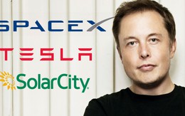 [Chuyện thất bại] Elon Musk: 2 lần bị công ty do chính mình thành lập sa thải
