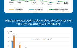 [Infographic] Việt Nam nhập siêu hơn 24 tỷ USD từ các nước APEC 10 tháng đầu năm