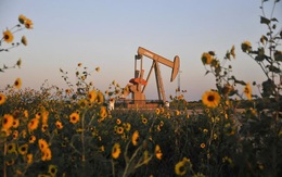 Tồn kho dầu Mỹ giảm mạnh đẩy giá dầu tăng vọt