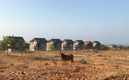 "Đắng lòng" nhìn cảnh những dự án resort bỏ hoang ở Kê Ga (Bình Thuận)