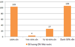 Điểm mặt danh sách thoái vốn 2016-2020: 5 ngân hàng 100% vốn nhà nước, bán hàng loạt Tổng công ty lớn