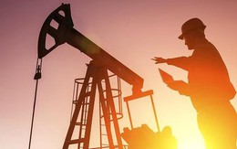 Giá dầu thô giảm do hàng tồn kho bất ngờ tăng mạnh