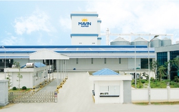 Theo đuổi mô hình từ nông trại đến bàn ăn, Mavin dự kiến đầu tư 80 triệu USD vào 4 dự án ở Nghệ An