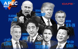 [INTERACTIVE] Toàn cầu hóa và câu chuyện của 7 lãnh đạo dự APEC 2017 tại Đà Nẵng