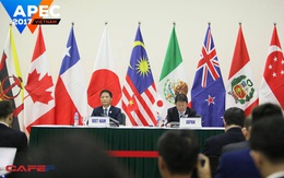 TPP có tên mới: Hiệp định Đối tác toàn diện và tiến bộ xuyên Thái Bình Dương (CPTPP)