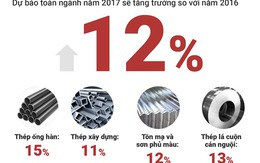 [Infographic] Dự báo ngành thép 2017