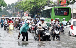 Giám đốc Trung tâm chống ngập TPHCM vi phạm về kê khai tài sản