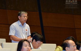 Đại biểu Nguyễn Thanh Hồng: "Bộ trưởng nói nhà sản xuất phải thông minh nhưng cử tri lại bảo nhà quản lý phải thông minh"