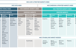 9 cổ phiếu Việt Nam bao gồm SSI, SAB, HSG, NVL vào rổ MSCI Frontier 100 Index