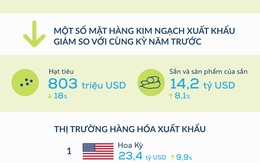 [Infographic] Việt Nam nhập siêu 3,08 tỷ USD 7 tháng đầu năm 2017