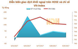 Tuần từ 5 - 9/6: Khối ngoại trên HOSE mua ròng tuần thứ 5 liên tiếp, đạt hơn 249 tỷ đồng