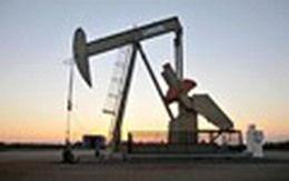 Nhu cầu tại Mỹ tăng, giá dầu quay trở lại