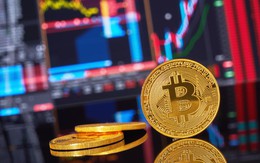 Bitcoin ngấp nghé 8.000 USD, Goldman Sachs vừa đưa ra lời cảnh báo nhưng rất nhiều nhà đầu tư sẽ vui mừng