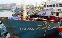 Thủ tướng yêu cầu kiểm tra việc đóng mới tàu cá vỏ thép