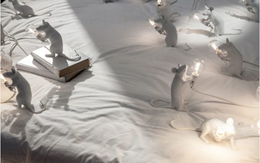 Cách trang trí căn nhà "chất lừ" bằng những chiếc đèn ngộ nghĩnh mang hình thù con vật