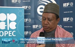 Tổng thư ký OPEC kêu gọi Mỹ cắt giảm nguồn cung dầu thô