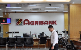 Gần 1/4 số nợ xấu VAMC mua trong 3 năm đầu hoạt động đến từ Agribank