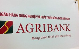 Agribank: 15.000 tỷ đồng nợ xấu ‘dính án” tại khu vực TP.HCM