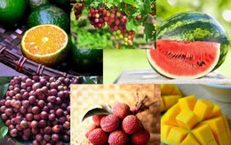 Ăn hoa quả như thế nào để tốt cho cơ thể?