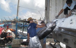 Xuất khẩu cá ngừ sang EU sẽ tăng 35% so năm 2016