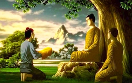 11 lời răn từ Đức Phật khiến hàng triệu người thức tỉnh, dù là ai cũng nên đọc thật kỹ càng