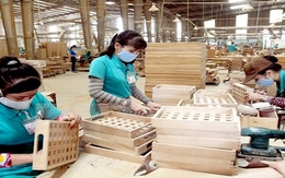 Áp thuế Trung Quốc, thị trường gỗ 30 tỉ USD rộng cửa với Việt Nam