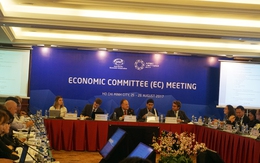 SOM 3: Ủy ban Kinh tế APEC họp phiên toàn thể lần thứ 2