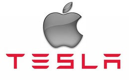 Elon Musk cười lớn khi nghe về ý kiến cho rằng Apple định mua lại Tesla, vẫn chưa chắc chắn được điều gì cả