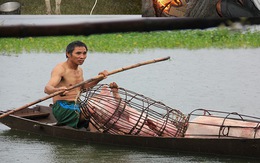 Video: Người dân chèo thuyền đưa lợn lên cao, đốt lửa sưởi ấm gà trong lũ