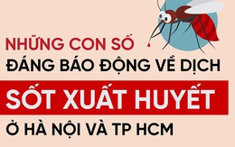 Infographic: Những con số đáng báo động về dịch sốt xuất huyết ở Sài Gòn và Hà Nội