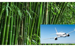 Để có thể "cất cánh", Viet Bamboo Airlines của tỷ phú Trịnh Văn Quyết sẽ phải "xếp hàng" rất lâu sau AirAsia, Vietstar Airlines hay SkyViet