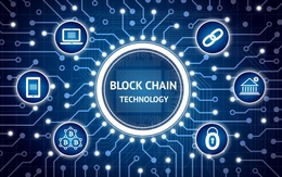 Cổ phiếu tăng 394% trong 1 phiên nhờ thêm cụm từ blockchain vào tên gọi