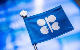 OPEC: Thị trường dầu sẽ bắt đầu cân bằng vào nửa cuối năm 2017