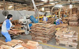 Xuất khẩu gỗ vào châu Âu nhiều triển vọng khả quan