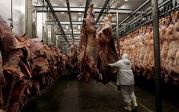 Châu Á “sốc” với bê bối thịt bẩn Brazil