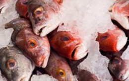 EU cảnh báo có độc tố trên cá hồng nhập từ Việt Nam