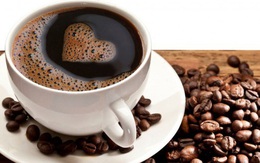 Sa lầy trong kinh doanh cà phê, tiếp tục hay từ bỏ?