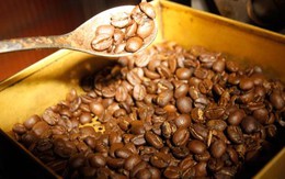 Xuất khẩu cà phê toàn cầu tăng 6,7% trong tháng 1/2017