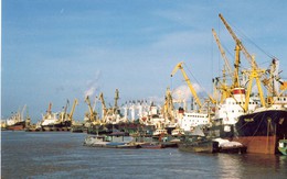 Doanh nghiệp đồng loạt lên tiếng phản đối Nghị quyết về thu phí cửa khẩu cảng biển của Hải Phòng