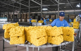 Xuất khẩu cao su Việt Nam tăng vọt