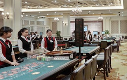 Nhìn Casino duy nhất của Hạ Long bước sang năm thứ 5 liên tiếp thua lỗ, các ông lớn BĐS muốn mở casino có cảm thấy lo lắng?