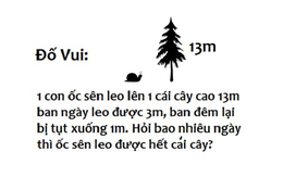 Trả lời câu đố về những lá bài Tây để "dự đoán" mình đầu tư chứng khoán thua hay thắng