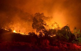 [Video]: Toàn cảnh vụ cháy rừng lớn nhất lịch sử ở Sóc Sơn - Hà Nội